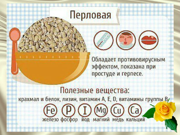 Перловая каша свойства. Перловка полезные вещества. Перловка витамины. Коллаген в перловке. Каша красоты.