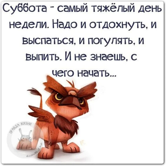 (500x520)/4743317_photo_1584944725 (564x564, 62Kb)