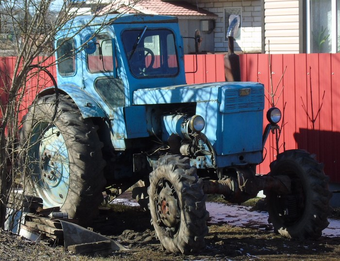 DSC08026 (700x537, 425Kb)