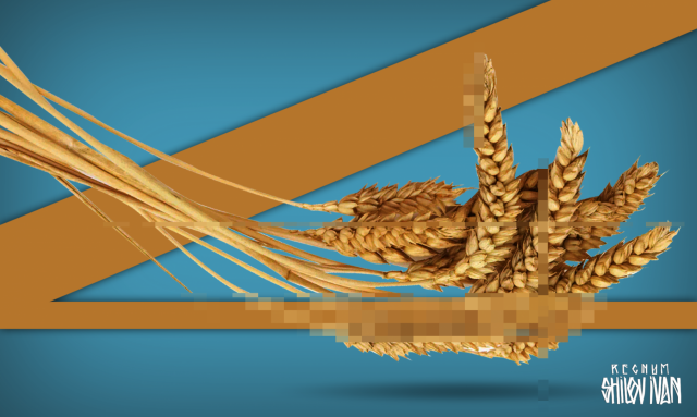 1 (640x383, 240Kb)