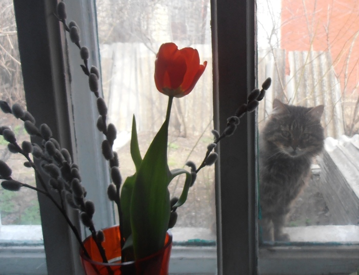 6389835_P3070002 (700x537, 115Kb)