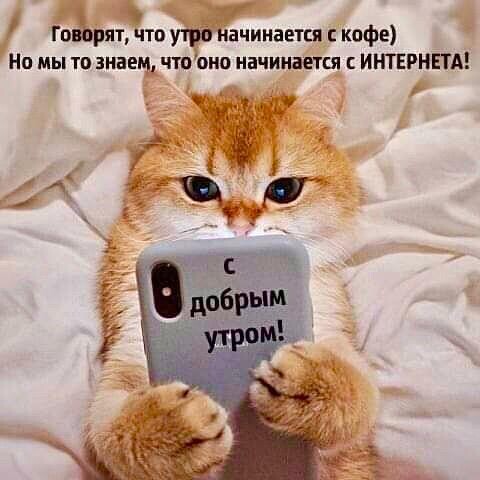 4743317_image20200325 (480x480, 40Kb)
