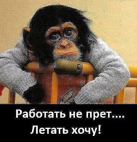 4743317_image202003251 (450x467, 86Kb)