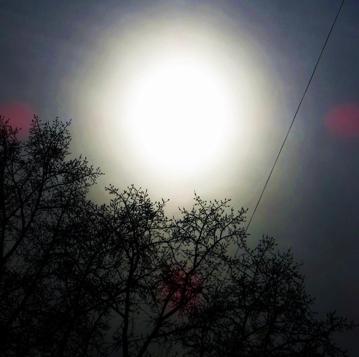 0 (700x697, 66Kb)