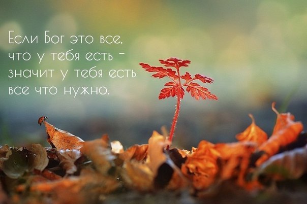 7tOMiIWAuxU (604x402, 41Kb)