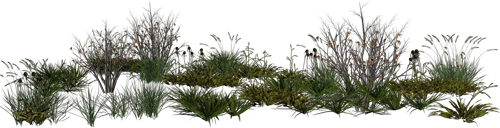 0_774c2_63a5bbb7_L.jpg (500x128, 122Kb)