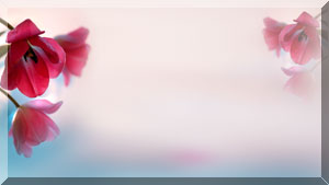 --1 (300x169, 11Kb)
