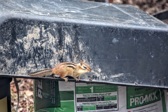 w10 (700x466, 329Kb)