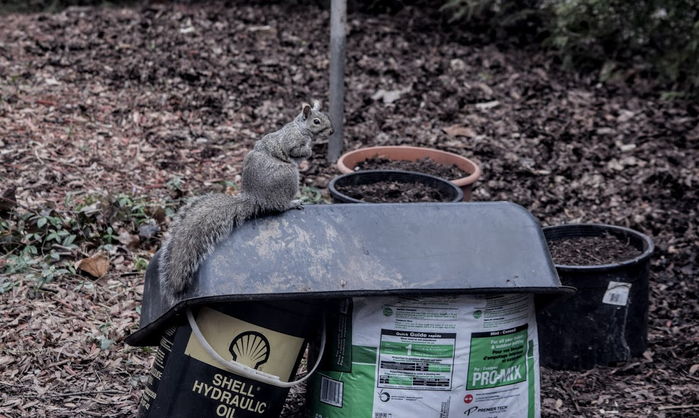 w14 (700x418, 327Kb)