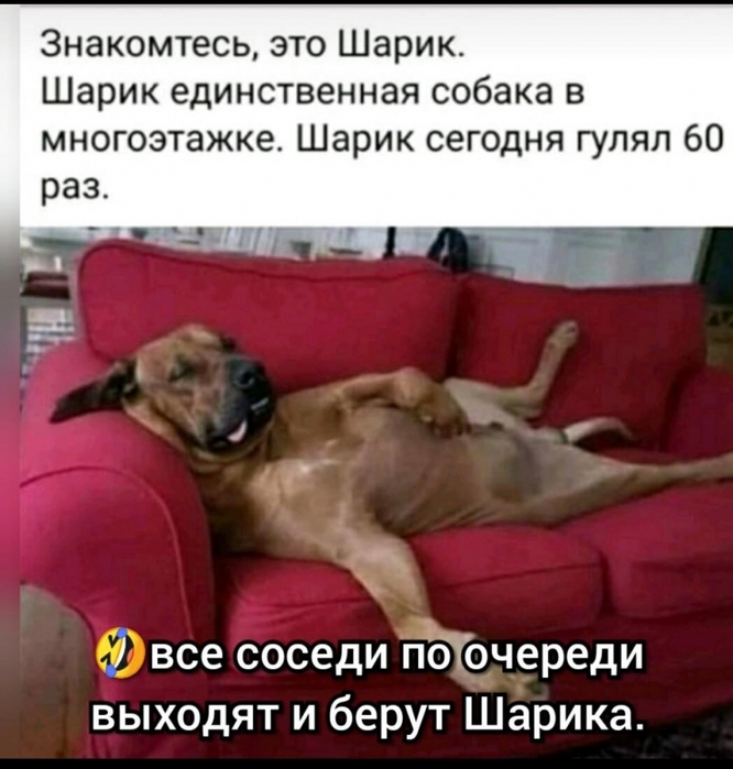 4743317_photo_1585977563 (666x700, 231Kb)