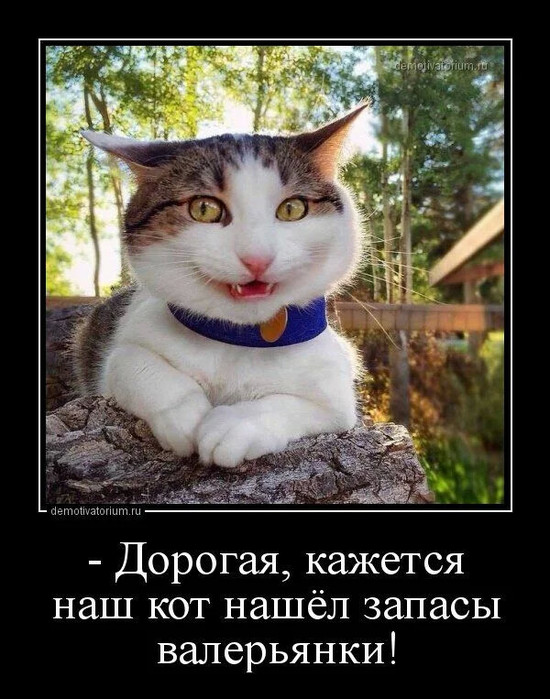 4743317_photo_1585974982 (550x700, 119Kb)