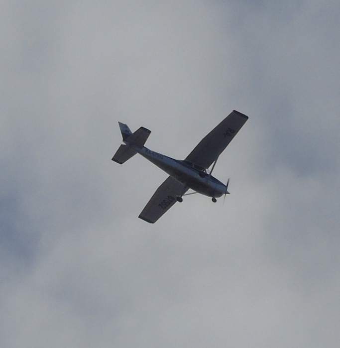 DSC07601 (683x700, 271Kb)