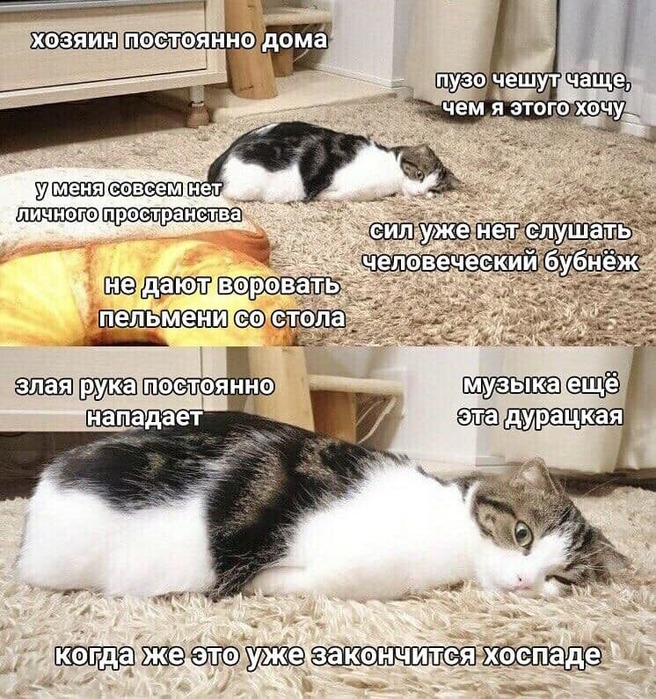  (656x700, 193Kb)
