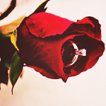 red_034 (150x150, 35Kb)
