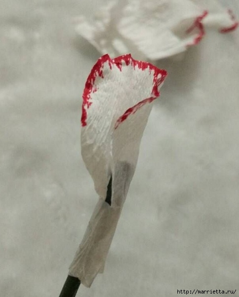 Китайская махровая гвоздика из бумаги. Мастер-класс (13) (485x602, 105Kb)