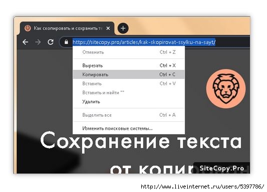 Как сохранить изображение с сайта который защищен от копирования