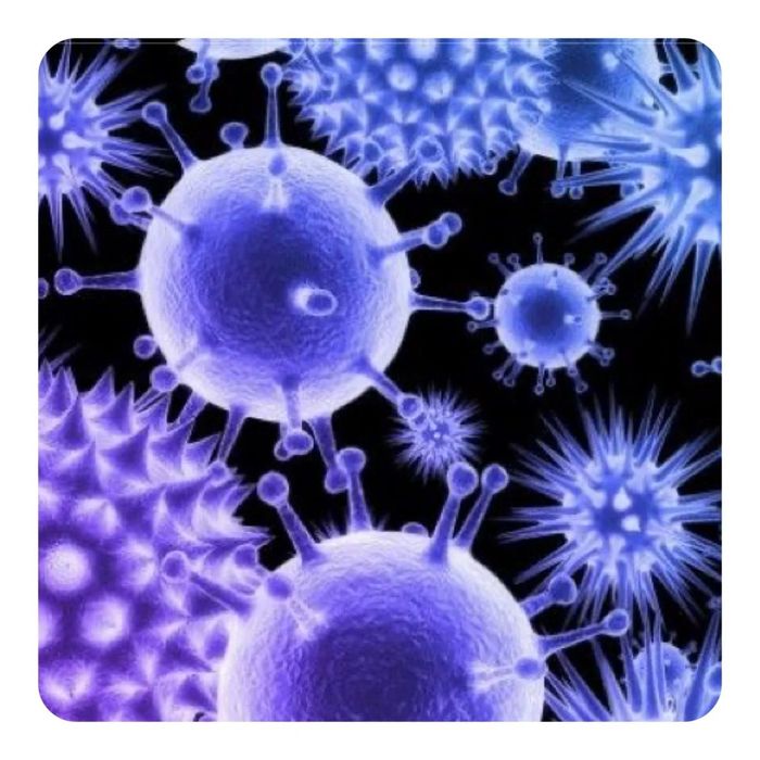 scale_1200 (700x700, 75Kb)