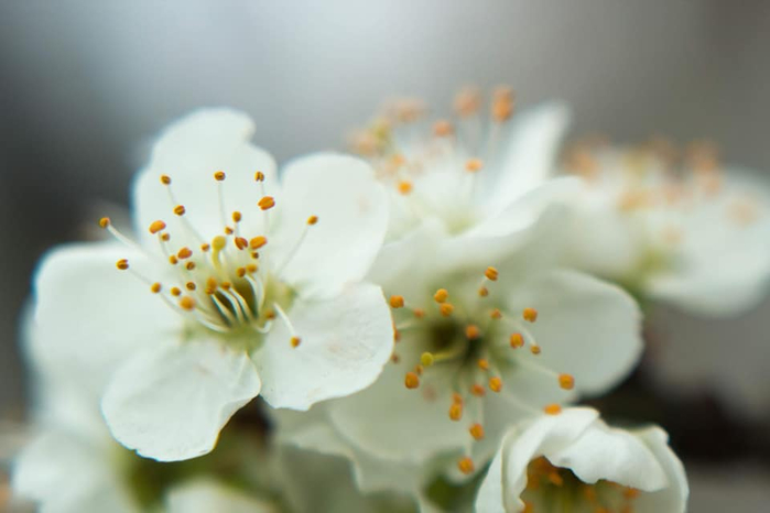 3 (700x466, 178Kb)