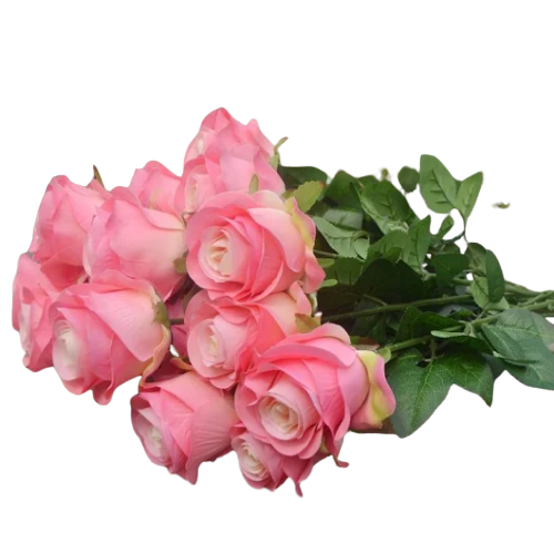 image__30_-removebg-preview-removebg-preview (500x500, 237Kb)