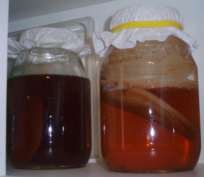 Kombucha-at-beginning-and-end-of-fermentation (700x605, 35Kb)