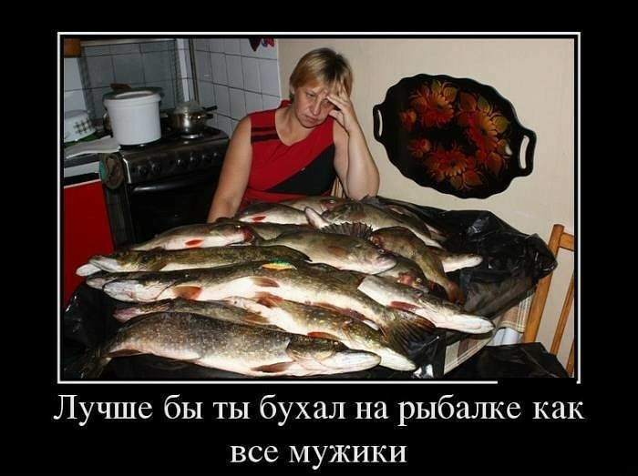image-1 (700x523, 172Kb)