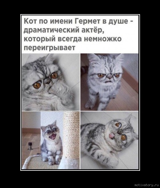 3 (520x611, 63Kb)