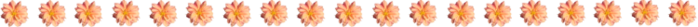 1 (700x27, 42Kb)