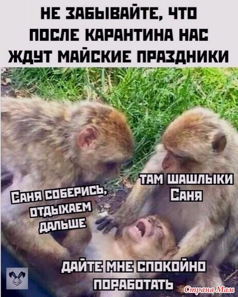 26152397_99829nothumb650 (478x597, 220Kb)