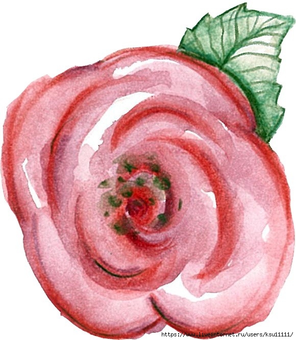 rose r (580x666, 213Kb)