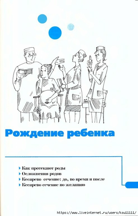 260 (449x700, 151Kb)