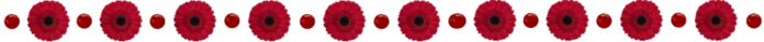 3 (700x39, 43Kb)