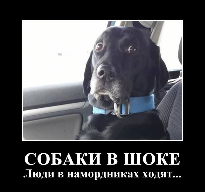  (700x656, 50Kb)