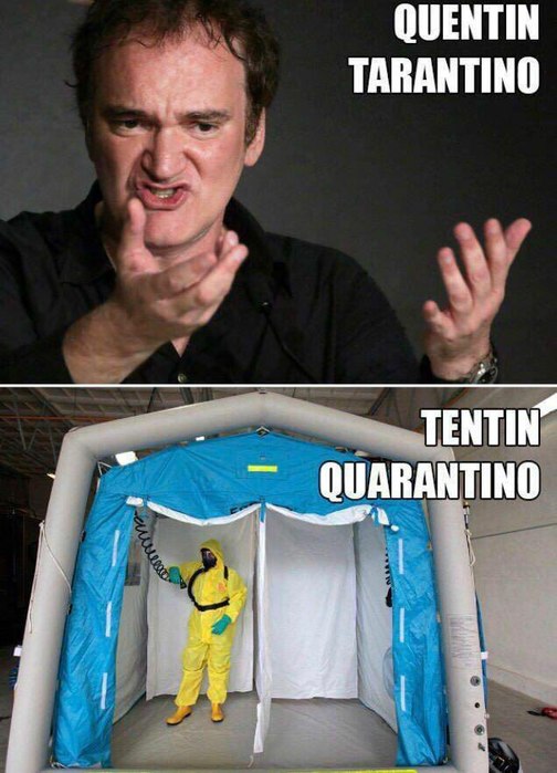 4954089_263838397_14157 (504x700, 74Kb)