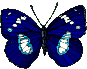 бабочка 2 (87x69, 11Kb)