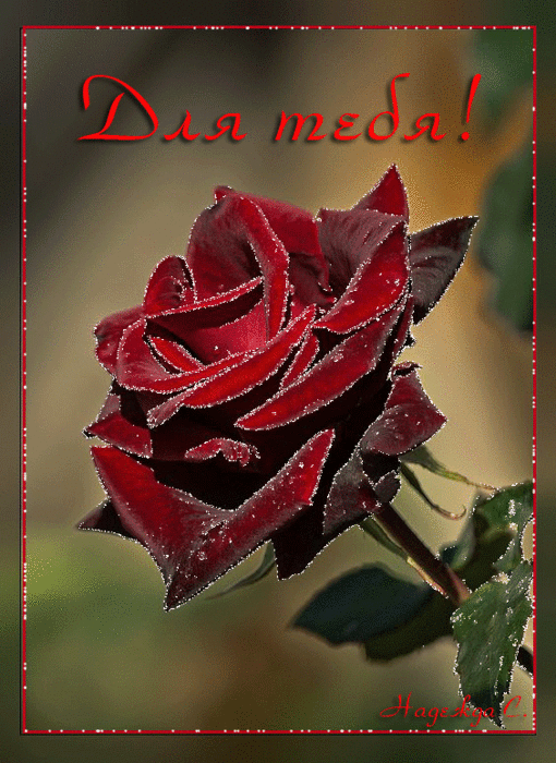 0027b01324d349a7c13d8fca5cdc2b02 (510x700, 608Kb)