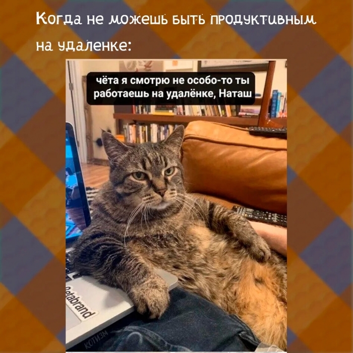 (450x500)/4743317_i (700x700, 309Kb)
