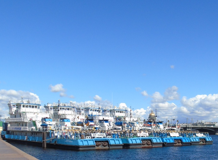 DSC08641 (700x512, 300Kb)