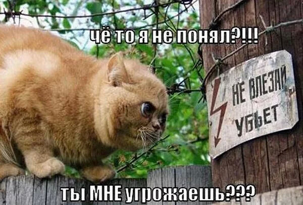 (470x470)/4743317_i (600x407, 92Kb)