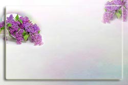 5539794_sirenvshlyapke1 (250x167, 5Kb)