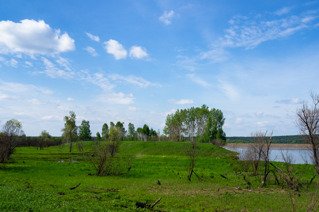 DSC02308 (640x425, 331Kb)
