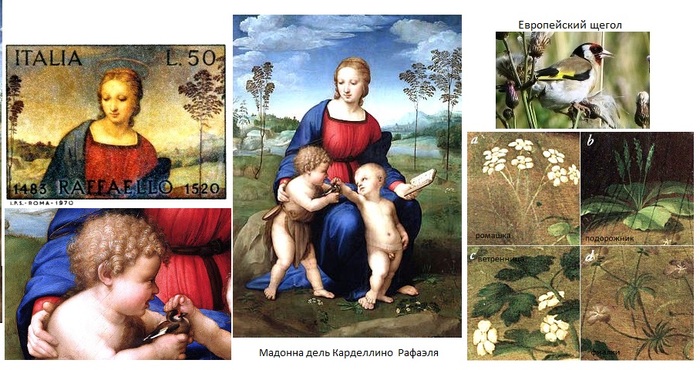 Мадонна со щеглом картина