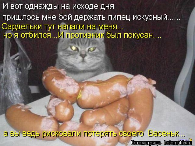 kotomatritsa_5 (640x480, 235Kb)