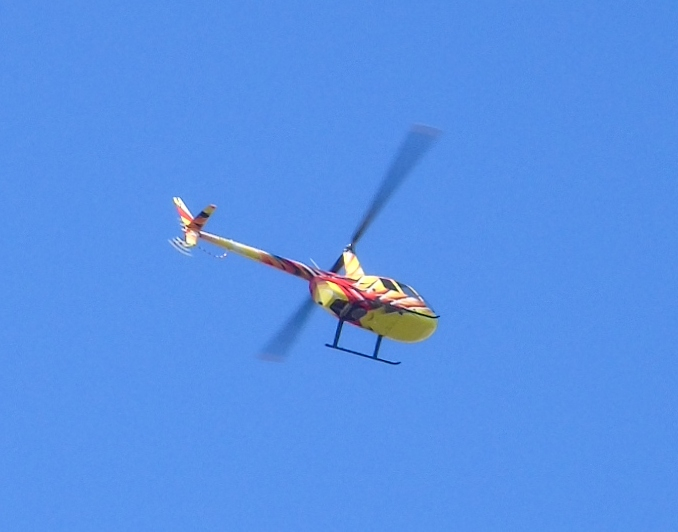 DSC00247 (678x532, 193Kb)