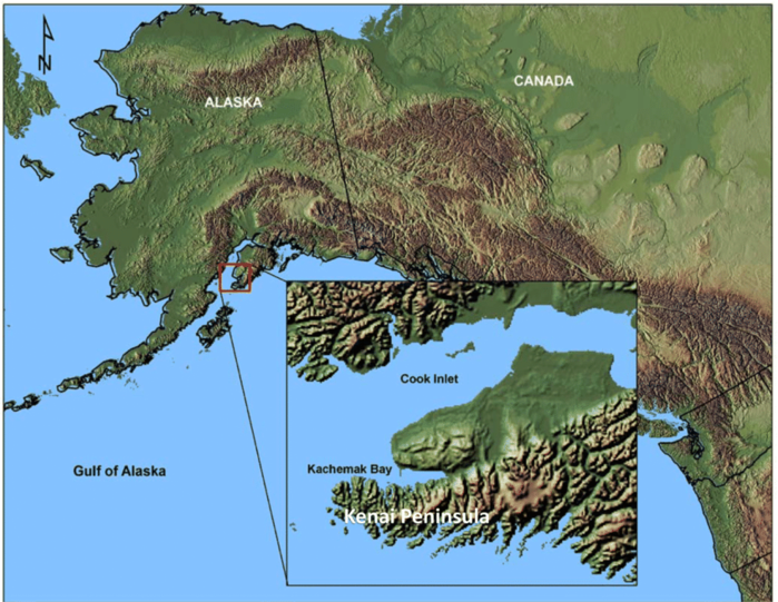 Map-of-Alaska-and-inset-the-Kenai-Peninsula-study-area (700x541, 569Kb)