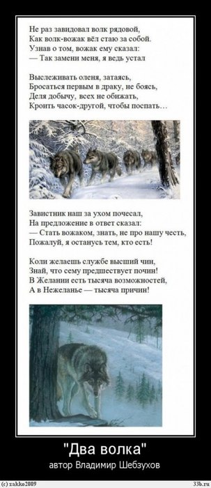   - (303x700, 50Kb)