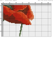  Poppies-004 (494x700, 181Kb)