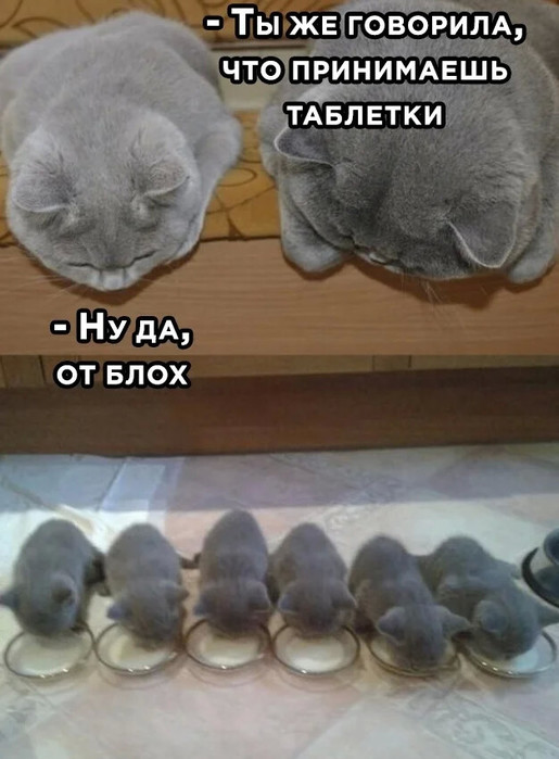 (450x500)/4743317_i_1 (515x700, 82Kb)