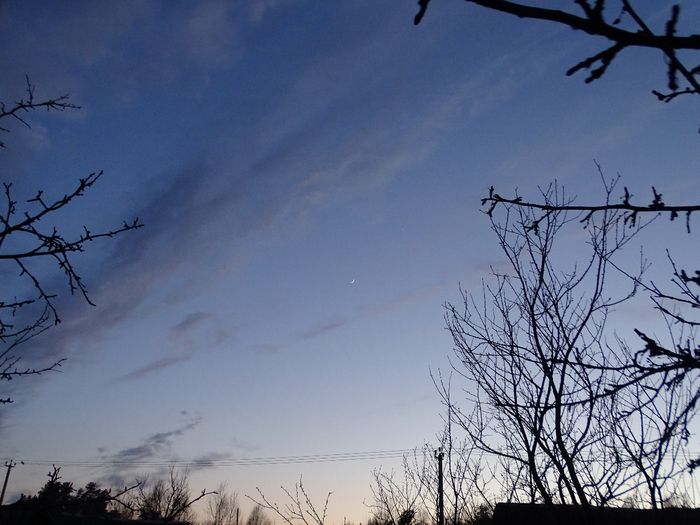 DSC00020 (700x525, 389Kb)