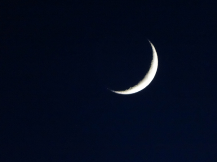 DSC00024 (700x525, 150Kb)