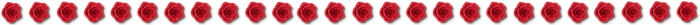 1 (700x25, 34Kb)